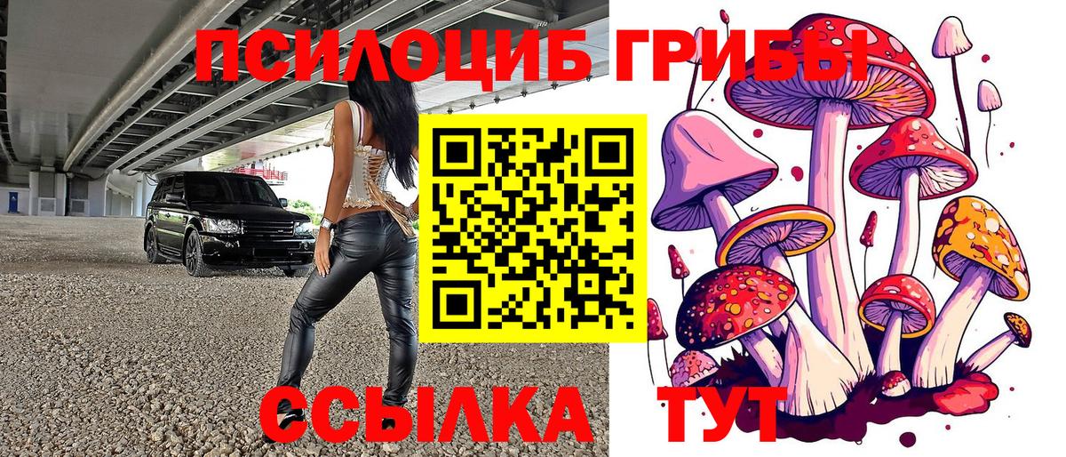 где продают   Вход с VPN  Саранск  Галлюциногенные грибы MAGIC MUSHROOMS 