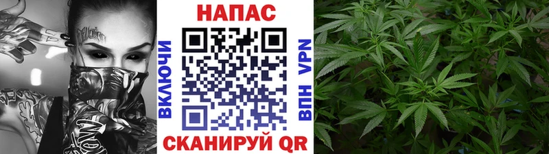 закладки  Саранск  Марихуана OG Kush 